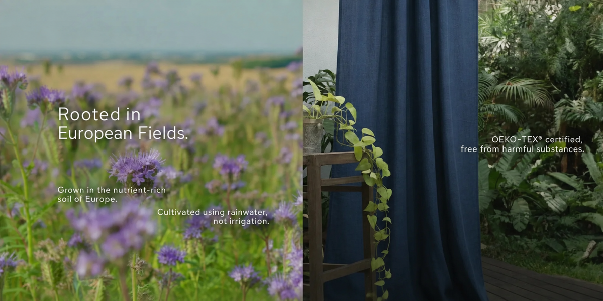 Rooted in European fields